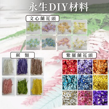 乾燥花DIY材料包 永生DIY材料 厥葉 文心蘭花頭 紫羅蘭花頭 永生花 乾燥花 乾燥花材 花頭