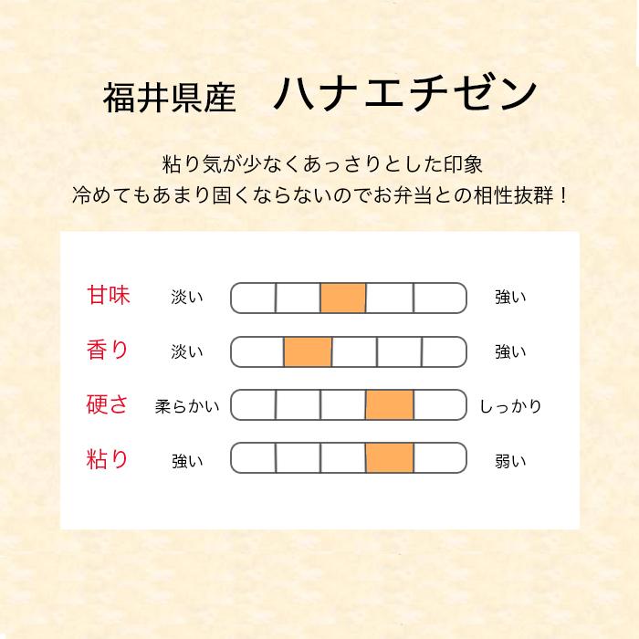 ハナエチゼン 米 5kg  令和4年産 福井県産 米 お米 白米 おこめ 華越前 精米 単一原料米 ブランド米 5キロ 送料無料 国内産 国産