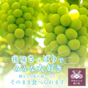 〈2024年度配送分〉山梨県甲府市産 ぶどうミックス 2房（シャイン・黒系ぶどう）