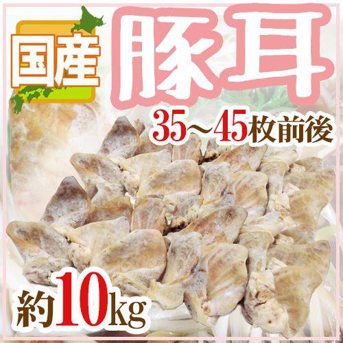 国産 ”豚耳” 35〜45枚前後 約10kg ミミガー