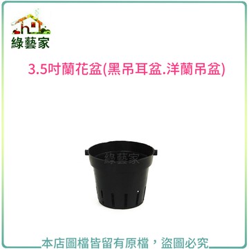 【綠藝家】3.5吋蘭花盆(黑吊耳盆.洋蘭盆)