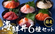 数量限定！海鮮丼の具の贅沢６種類セット