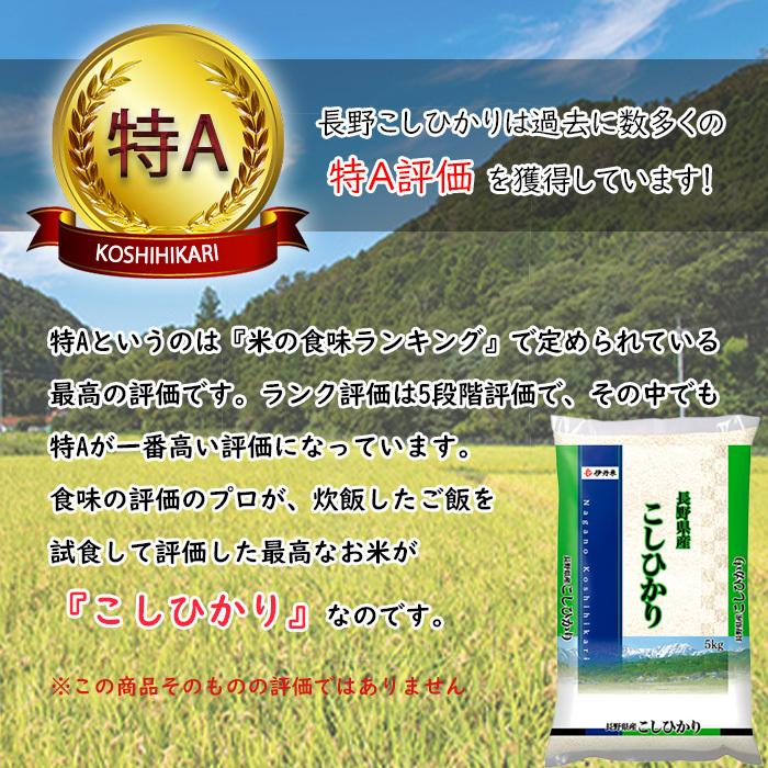 こしひかり 20kg 5kg×4  令和4年産 長野県産 米 お米 白米 おこめ 精米 単一原料米 ブランド米 20キロ 送料無料 国内産 国産