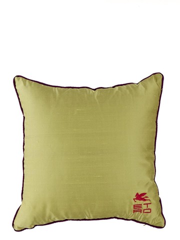 Embroidered Cushion