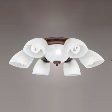 燈罩吸頂六燈 B102-81-23686