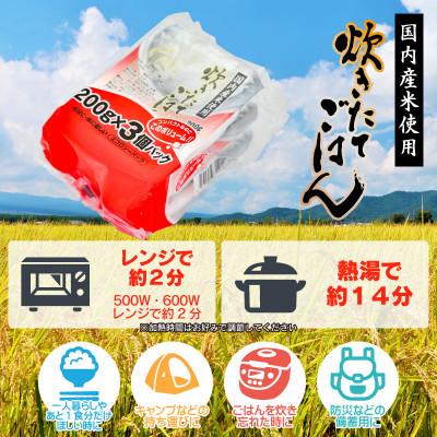 ふるさと納税 鶴岡市 炊きたてごはん パックライス 200g × 24個 レンジで2分パックごはん