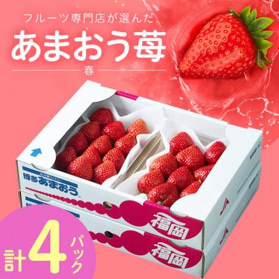 ふるさと納税 志免町 福岡産あまおう4パック(志免町)