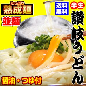 20時間熟成  半生 讃岐うどん 並麺 つゆ付きセット  750g 送料無料 最安値挑戦 お取り寄せ お試し