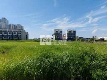 九份子生態區368坪方正建地｜台南市安南區國安段