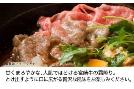 宮崎牛 クラシタロース(肩ロース) スライス 500g