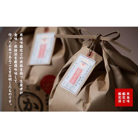 ふるさと納税 白米10kg（5kg×2袋） 愛媛県大洲市