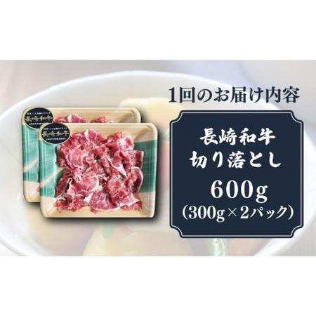 ふるさと納税 長崎和牛 切り落とし 600g (300g×2) 回[DBL022]  長崎 小値賀 牛 牛肉 黒毛和.. 長崎県小値賀町