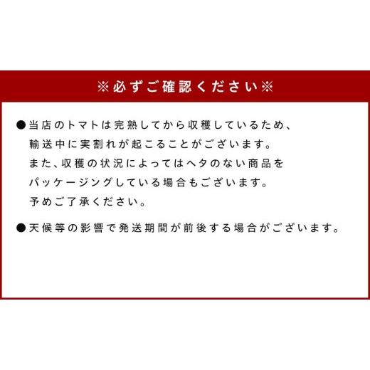 ふるさと納税 三重県 津市 ハレノヒトマト食べ比べセット