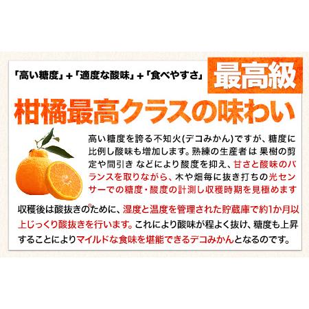 ふるさと納税 デコみかん (デコポン と同品種 不知火 ご家庭用  熊本県産 荒尾市産含む 訳あり 約5kg前後(12-24玉前後) 《2024年2月上旬-4.. 熊本県荒尾市