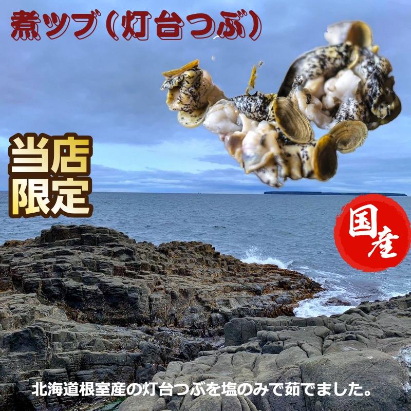 煮ツブ（灯台つぶ）真空冷凍300ｇ パック×4袋　産地直送　送料無料