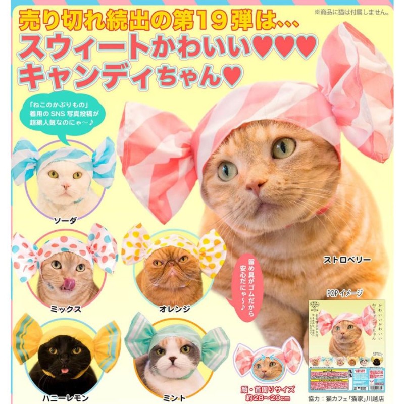 イエロー 逝か 未使用 キャンディ ねこのかぶりもの