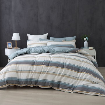 雙人兩用被套床包組/ 100%精梳純棉 / 純棉 / 艾蒙 [鴻宇] 台灣製 - C20138