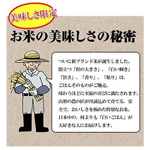  山形県 無洗米 1等米 つや姫 5kg 令和4年産