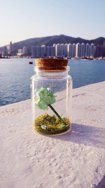 【訂】黏土多肉植物 — 樽仔黏土繡球花