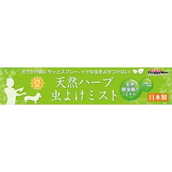 犬 ブラッシング スプレー 被毛ケア 保湿 抗菌 ウイルス対策 虫除け 天然アロマ使用 | ブラッシングミスト チェリーブロッサムの香り 180ml