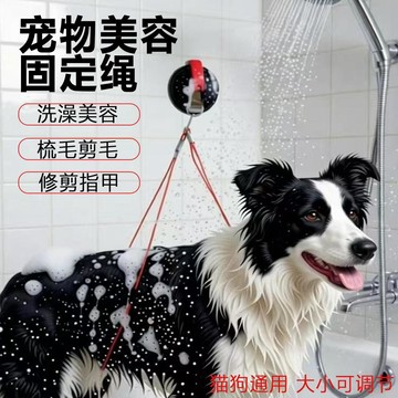 💕在臺出貨🔥寵物美容臺吊繩狗狗洗澡掛繩固定器美容桌吊繩貓咪脖套掛脖固定繩 寵物洗澡固定器 狗狗洗澡用具 貓咪洗澡 貓