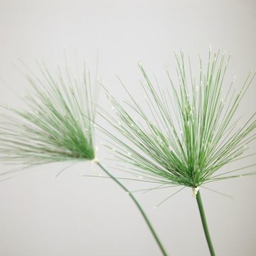 超高仿真花野生植物傘莎茶室做景工程特色設計師用花可當真花用