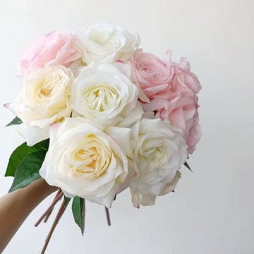 皇家高檔奧斯汀i玫瑰手感保濕玫瑰花仿真花高端結婚花藝家居飾品