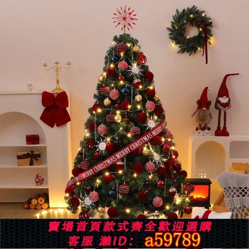 【全網低價 可打統編】聖誕樹落地家用聖誕節帶燈場景佈置diy商場裝飾品模擬掛件小擺件