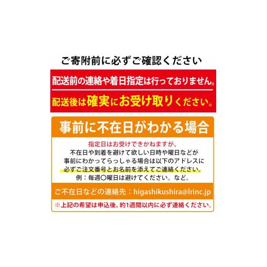 ふるさと納税 鹿児島県 東串良町 ＜訳あり＞朝獲れ発送！鮮魚問屋が厳選した氷締め伊勢海老(2尾・総量1kg以上)