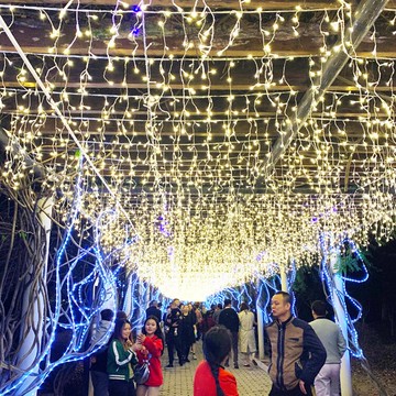 FD57933437led節日彩燈串燈閃燈室外燈飾掛燈網紅戶外陽臺裝飾