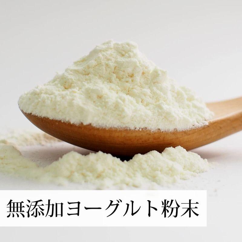 自然健康社 国産ヨーグルト粉末 100g×3個 チャック付き袋入り