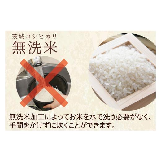 ふるさと納税 茨城県 大洗町  令和5年産 新米 無洗米 茨城 コシヒカリ 10kg (5kg×2袋) ×3カ月 米 お米 おこめ 白米 ライス ご飯 精米 こしひ…