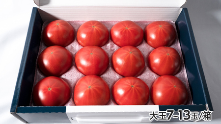  てるて姫 小箱 約800g × 2箱  糖度9度 以上 野菜 フルーツトマト フルーツ トマト とまと [AF053ci]