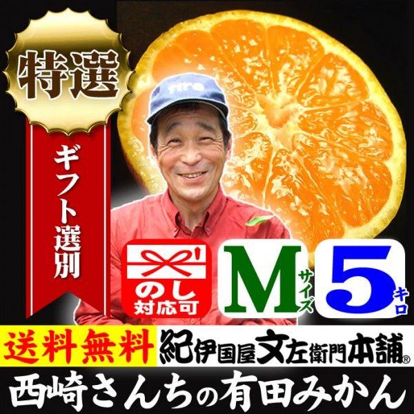 和歌山 有田みかん　西崎さんちの有田みかん　約5kg　(Mサイズ)　特選ギフト品