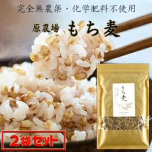 完全無農薬・化学肥料不使用 原さんちのもち麦500g×2 国産(100％熊本県産)雑穀米 原農場 熊本県菊池市