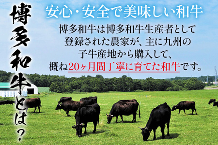 博多和牛 すき焼き 具材付き 総量 600g (150g×4パック) すきやき 肉 お肉 和牛 国産 福岡県産 冷凍 鍋 鍋セット 個食パック 一人用 家族用 惣菜 お取り寄せ 送料無料