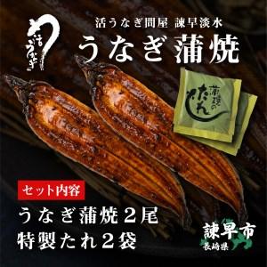 ふるさと納税 うなぎ蒲焼2尾 長崎県諫早市