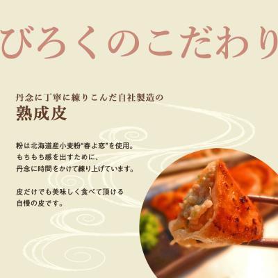 ふるさと納税 千歳市 こだわりの手打ち餃子★天のびろく 3種セット