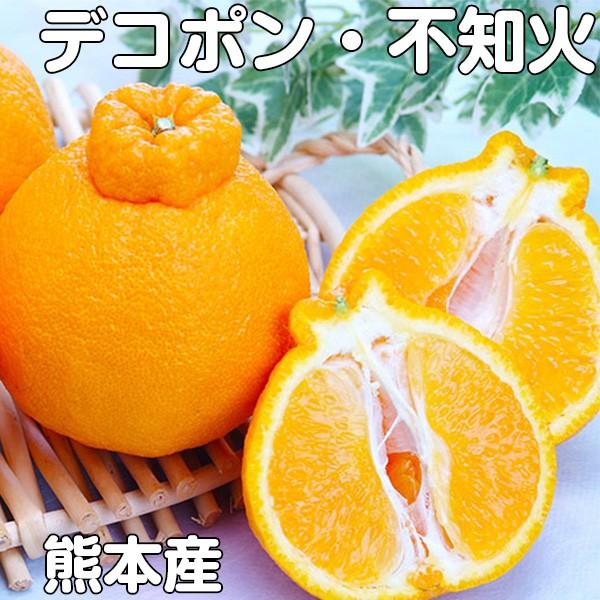 高級 ハウス デコポン みかん 不知火 2kg 6-8個 贈答用 ギフト 熊本県産 オレンジベルト 柑橘　フルーツ ミカン ギフト 熨斗可 送料無料