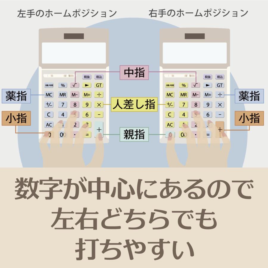 カシオ 本格実務電卓 10桁 検算機能 デスクタイプ DS-10WKA-N グリーン購入法適合 エコマーク認定