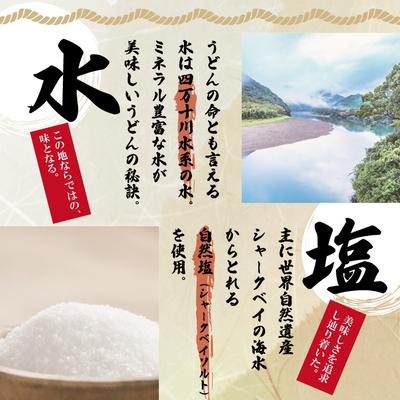 ふるさと納税 四万十市 四万十うどんと四万十鶏の天ぷら5食セット R5-798