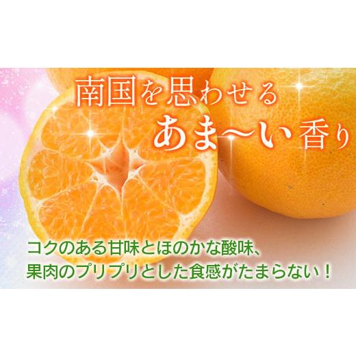 ふるさと納税 宮崎県 日南市 訳あり≪数量限定≫平部さんちのポンカン(計7kg以上) フルーツ 果物 柑橘 みかん 国産_BA60-23