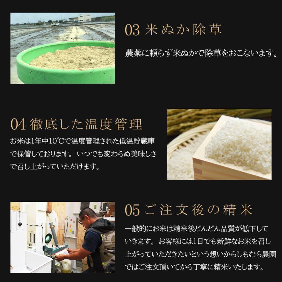 令和5年産 お試し 特別栽培米 さがびより2合×3個セット米 さがびより 佐賀県産米 減農薬 しもむら農園 お手頃 価格