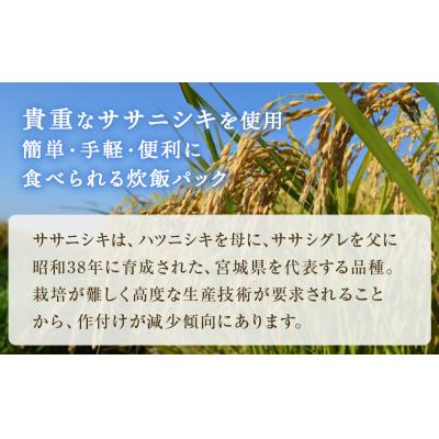 ふるさと納税 東松島市 JAいしのまき米 白がゆ炊飯パック 24パック入り レトルト お米 米 東松島 宮城県 おかゆ お粥