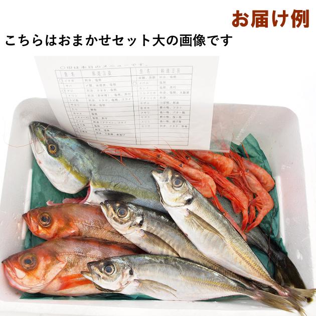 能西水産 能登産鮮魚おまかせセット 小 2〜3種類 送料無料