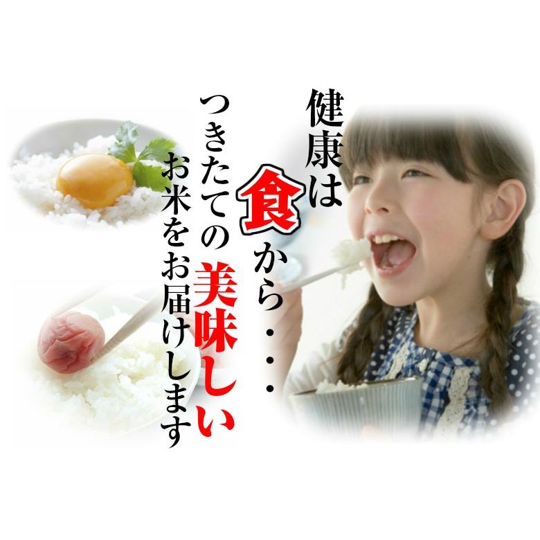 新米 お米  コシヒカリ5k ミルキークィーン5k 10kg 白米 茨城県産 5年産 送料無料 一部地域除く