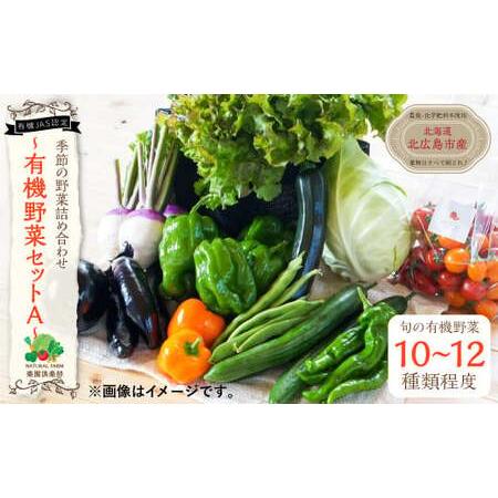 ふるさと納税 季節の野菜 詰め合わせ 10種類〜12種類程度 有機野菜セットA 北海道北広島市 北海道北広島市