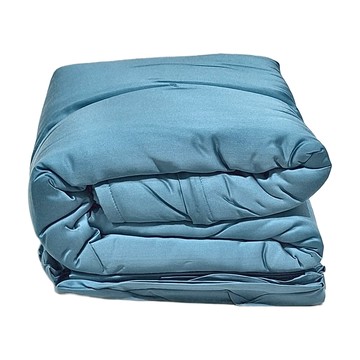 A-nice 雅妮詩 60支天絲鋪棉兩用被床包4件組 100%萊賽爾天絲 吸濕透氣親膚觸感  被套 + 床墊套 + 枕套組  加大(床包188 x 182cm + 被套212 x 182cm + 枕套2個75 x 48cm)  淺綠色