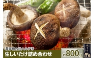 生しいたけ詰め合わせ 800g