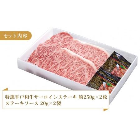 ふるさと納税 特選 平戸和牛 サーロインステーキ 約500g(250g×2枚)[KAD021]  長崎 平戸 肉 牛 牛肉 .. 長崎県平戸市